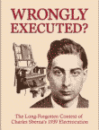 Cover image of Wrongly Executed book
