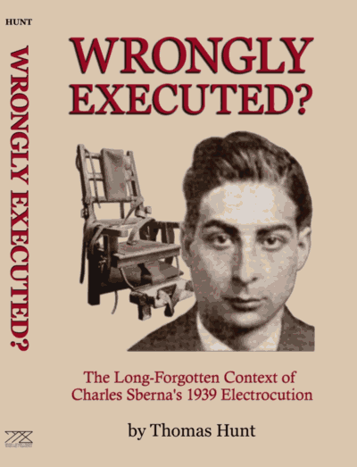 Wrongly Executed? Kindle ebook cover